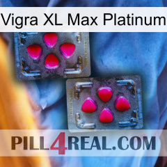 Vigra Xl Max Platinum 15